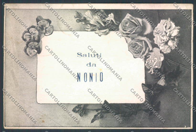 Verbania Nonio Saluti da cartolina ZQ8117 – fronte