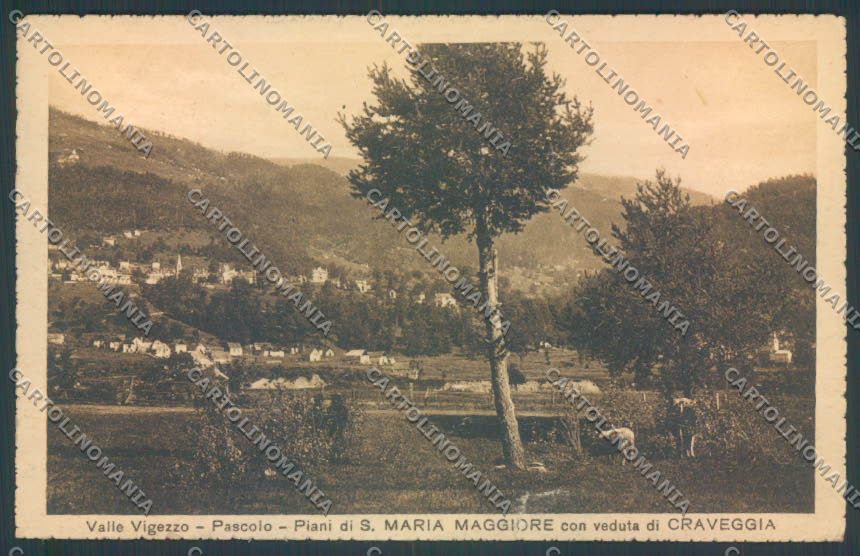 Verbania Santa Maria Maggiore PIEGHINE STRAPPO cartolina ZQ8580 – fronte