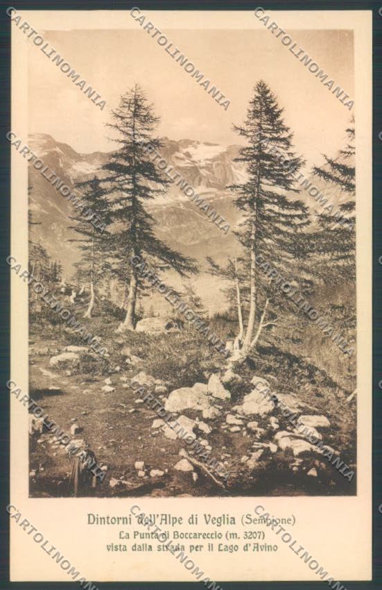 Verbania Baceno Alpe Veglia cartolina ZQ8723 – fronte