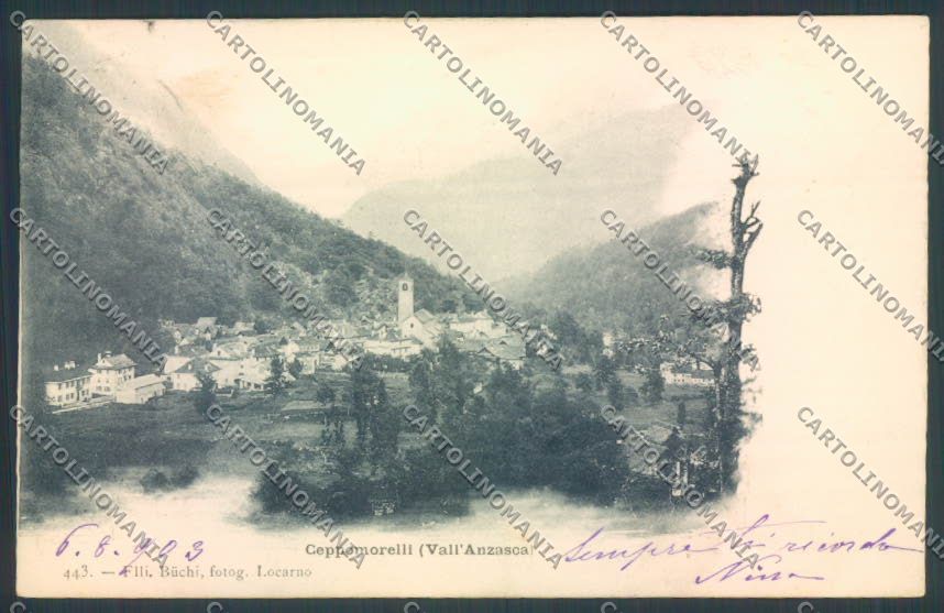 Verbania Ceppo Morelli cartolina ZQ8770 – fronte