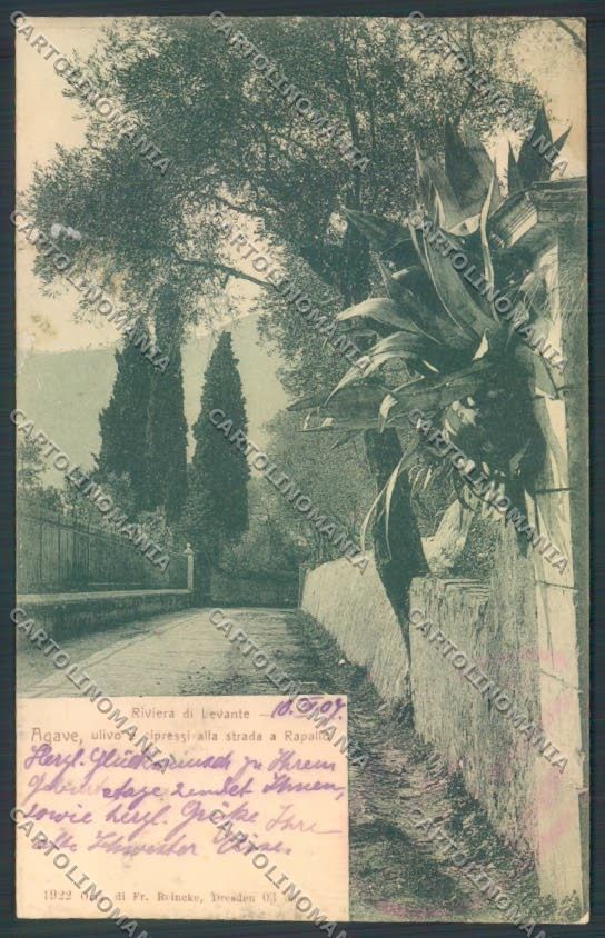 Genova Rapallo REINCOLLATA cartolina ZQ9092 – fronte