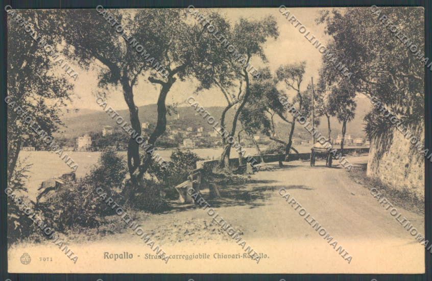 Genova Rapallo cartolina ZQ9134 – fronte