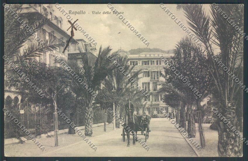 Genova Rapallo Carrozza PIEGHINA cartolina ZQ9196 – fronte