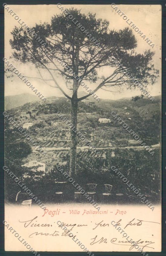 Genova Città Pegli cartolina ZQ9288 – fronte
