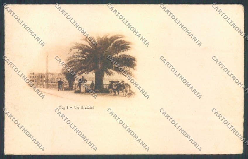 Genova Città Pegli cartolina ZQ9341 – fronte