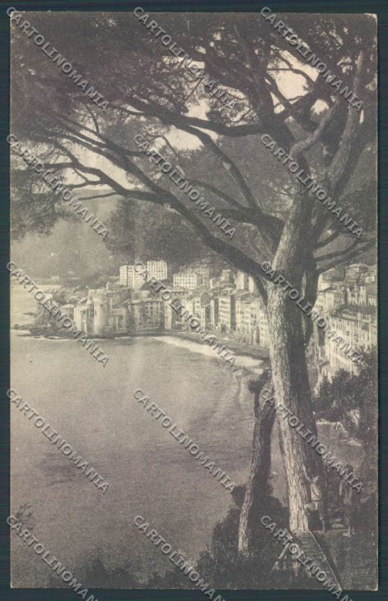 Genova Camogli cartolina ZQ9360 – fronte
