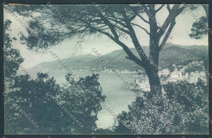 Genova Camogli cartolina ZQ9368 – fronte