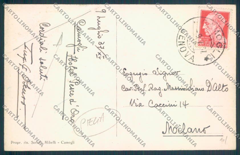 Genova Camogli PIEGA cartolina ZQ9369 – retro