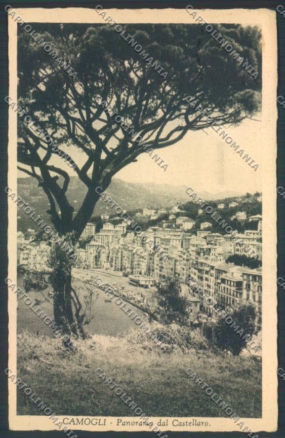 Genova Camogli cartolina ZQ9381 – fronte