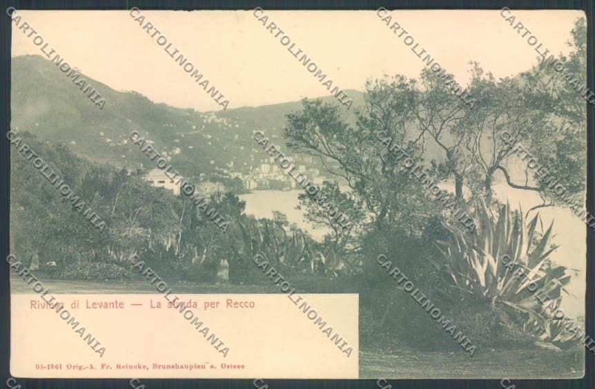 Genova Recco cartolina ZQ9432 – fronte