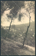 Genova Camogli Ruta cartolina ZQ9691 – fronte