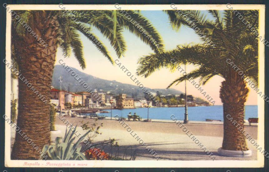 Genova Rapallo cartolina ZQ9756 – fronte