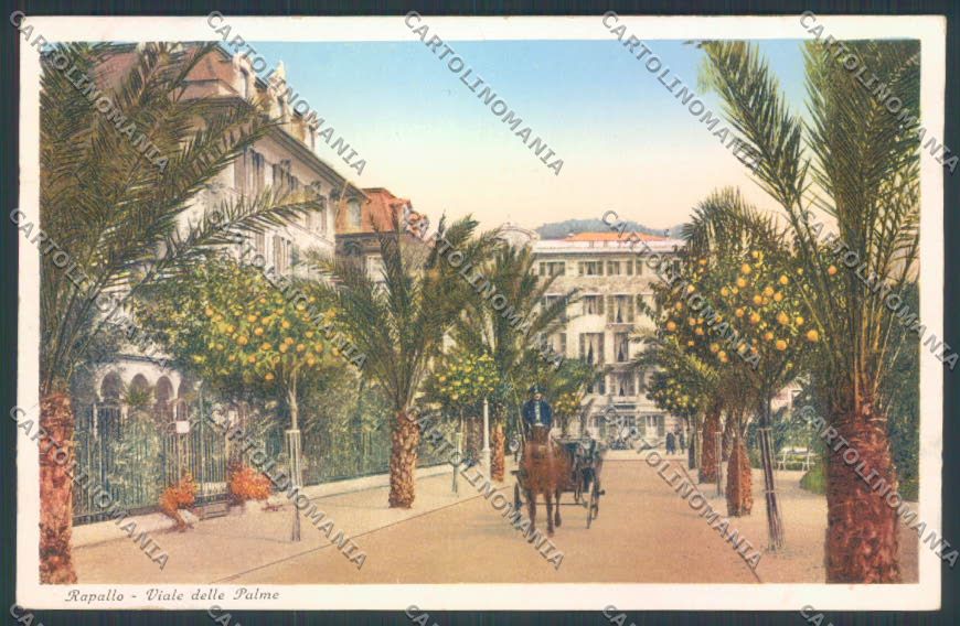 Genova Rapallo Carrozza cartolina ZQ9818 – fronte