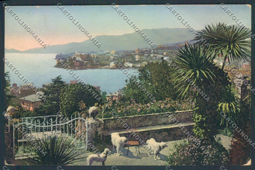 Genova Rapallo cartolina ZQ9850 – fronte