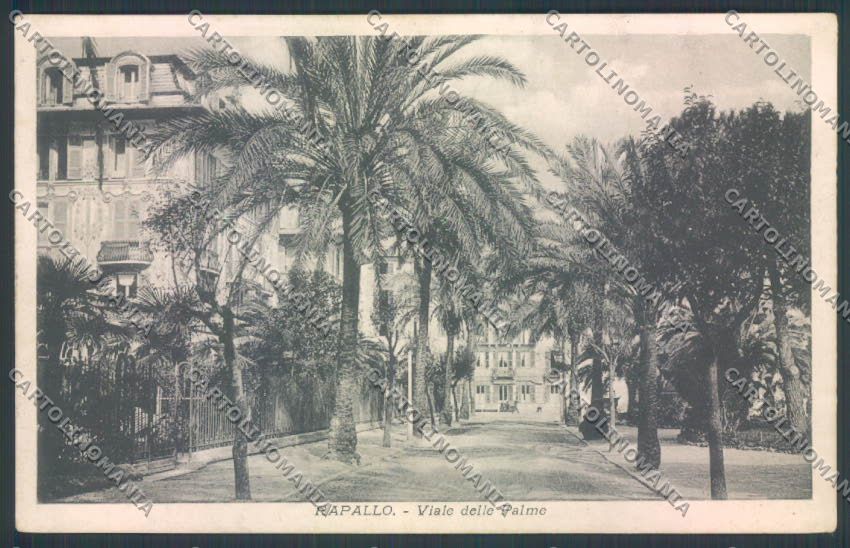 Genova Rapallo cartolina ZQ9852 – fronte