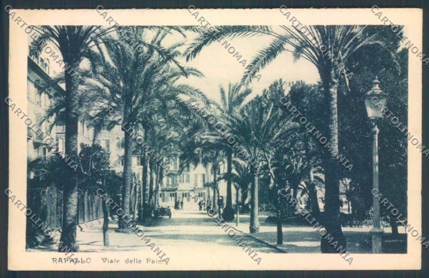 Genova Rapallo cartolina ZQ9959 – fronte