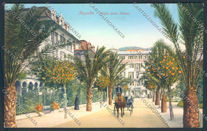 Genova Rapallo Carrozza cartolina ZQ9964 – fronte