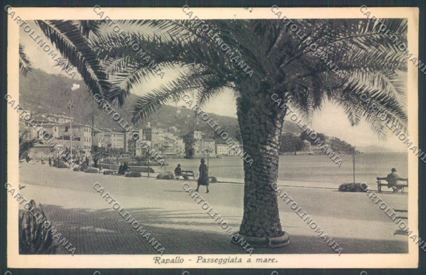 Genova Rapallo cartolina ZQ9977 – fronte
