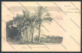 Genova Città Nervi cartolina ZT0472 – fronte