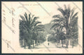 Genova Città Nervi cartolina ZT0487 – fronte