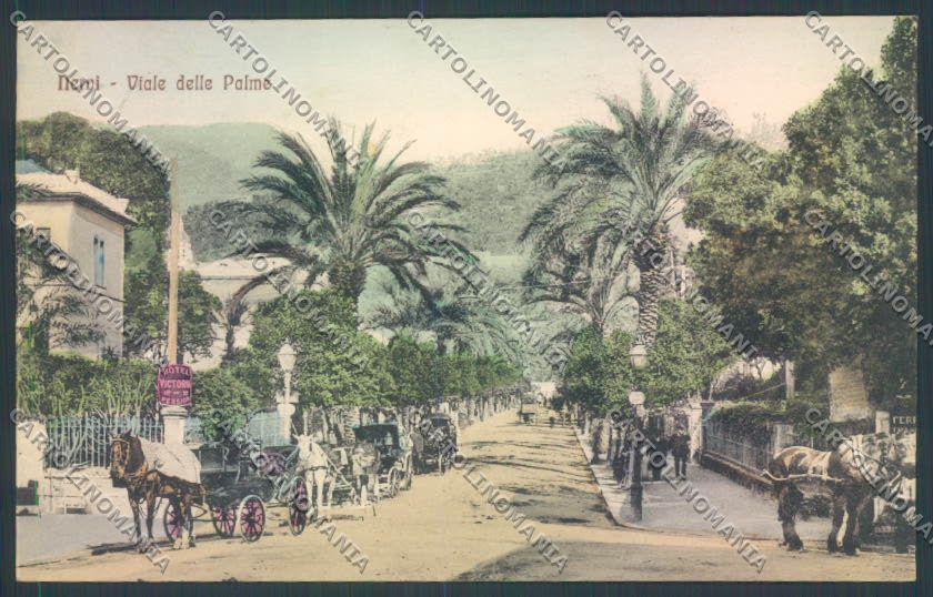 Genova Città Nervi Carrozza Calesse cartolina ZT0492 – fronte