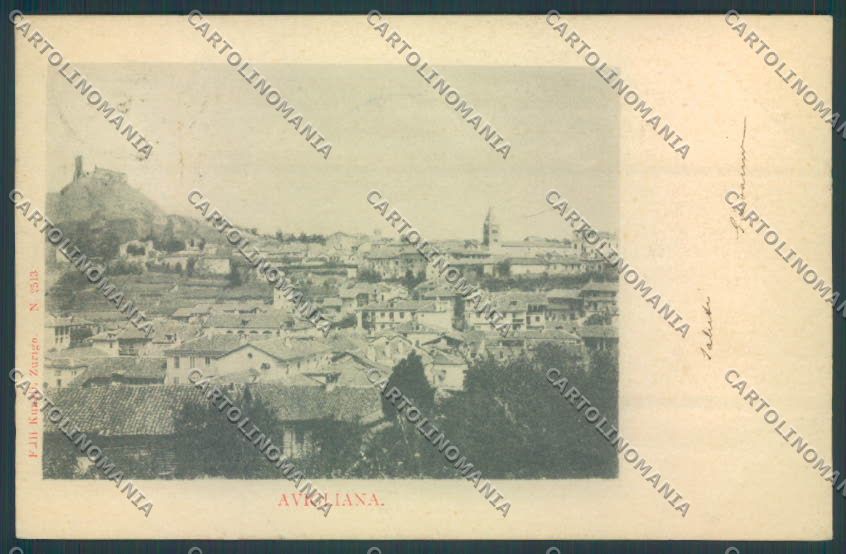 Torino Avigliana cartolina ZT0598 – fronte