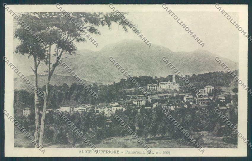 Torino Alice Superiore cartolina ZT0624 – fronte