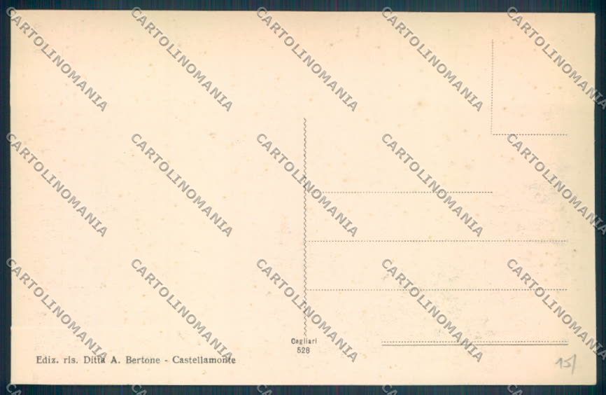 Torino Castellamonte cartolina ZT0708 – retro
