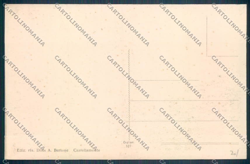 Torino Castellamonte cartolina ZT0716 – retro