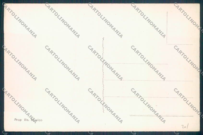 Torino Sciolze cartolina ZT1460 – retro