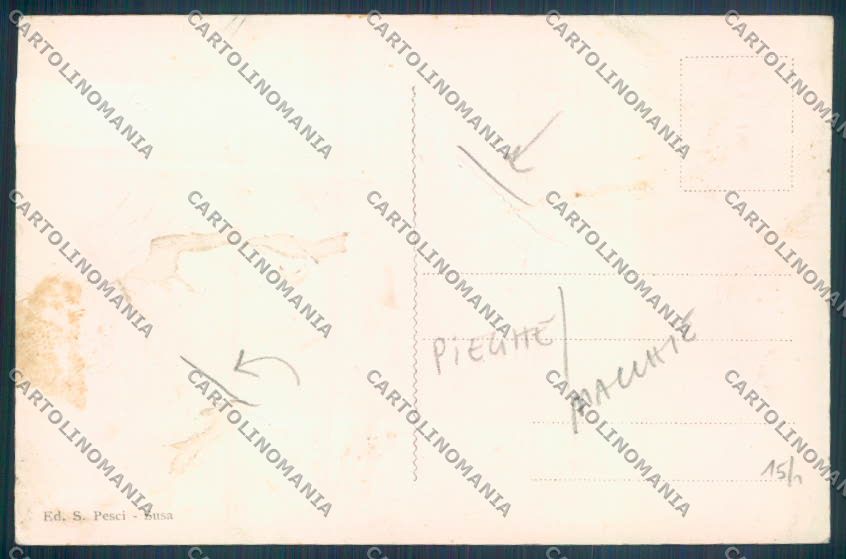 Torino Susa PIEGHE MACCHIE cartolina ZT1509 – retro