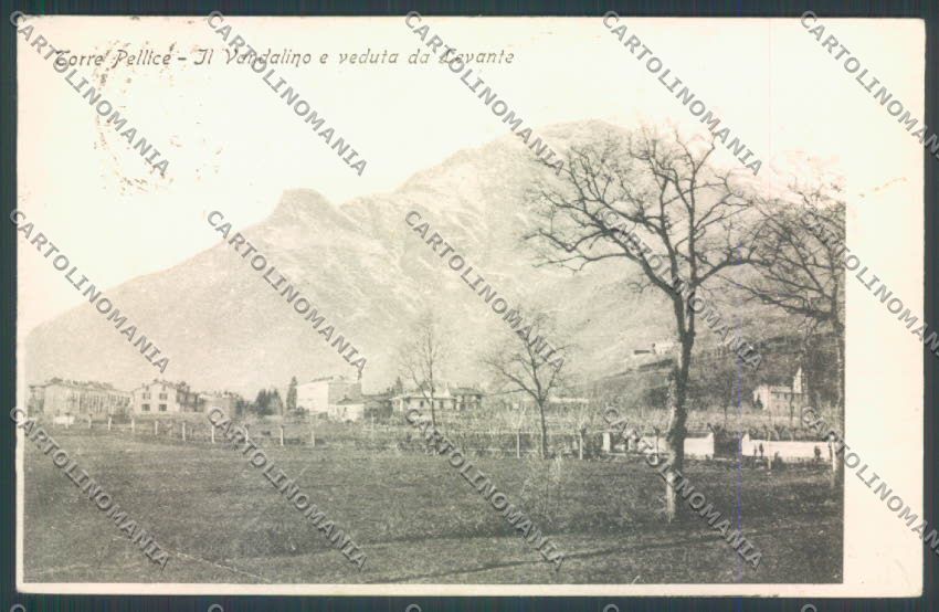 Torino Torre Pellice cartolina ZT1579 – fronte