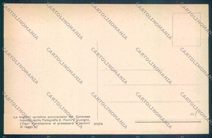 Torino Vico Canavese cartolina ZT1617 – retro