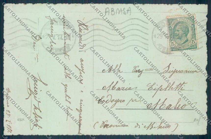 Torino Alta Montagna Nevicata ABRASA PIEGHE cartolina ZT1701 – retro