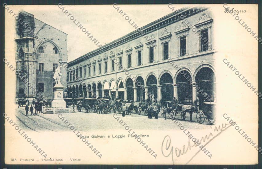 Bologna Città cartolina ZT1909 – fronte