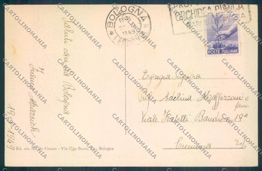Bologna Città Ippodromo cartolina ZT2118 – retro