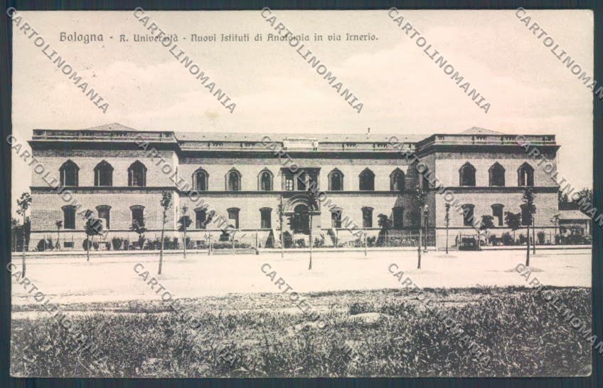Bologna Città Università cartolina ZT2156 – fronte