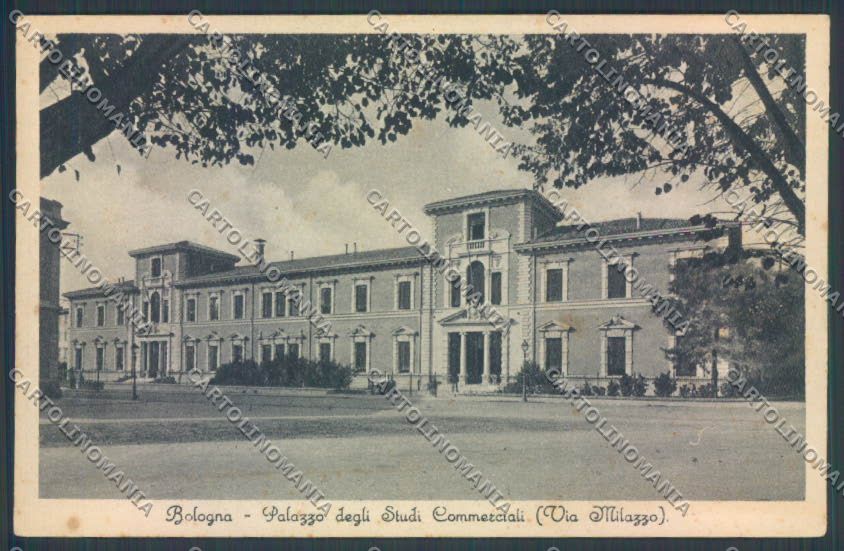 Bologna Città Scuola cartolina ZT2211 – fronte