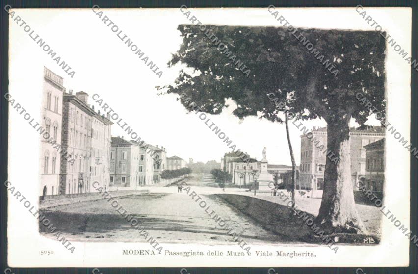 Modena Città cartolina ZT2424 – fronte