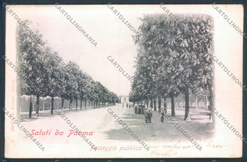 Parma Città cartolina ZT2774 – fronte