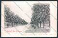 Parma Città cartolina ZT2774 – fronte