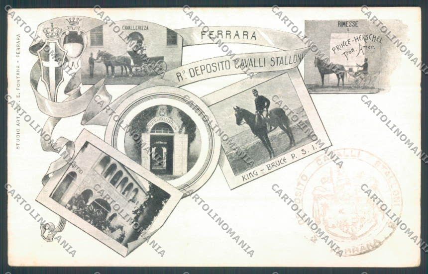 Ferrara Città Equitazione cartolina ZT3310 – fronte