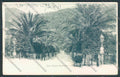 Genova Nervi cartolina ZT3893 – fronte