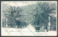 Genova Nervi cartolina ZT3947 – fronte
