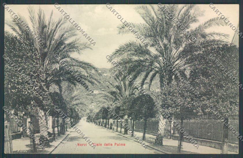 Genova Nervi cartolina ZT3972 – fronte