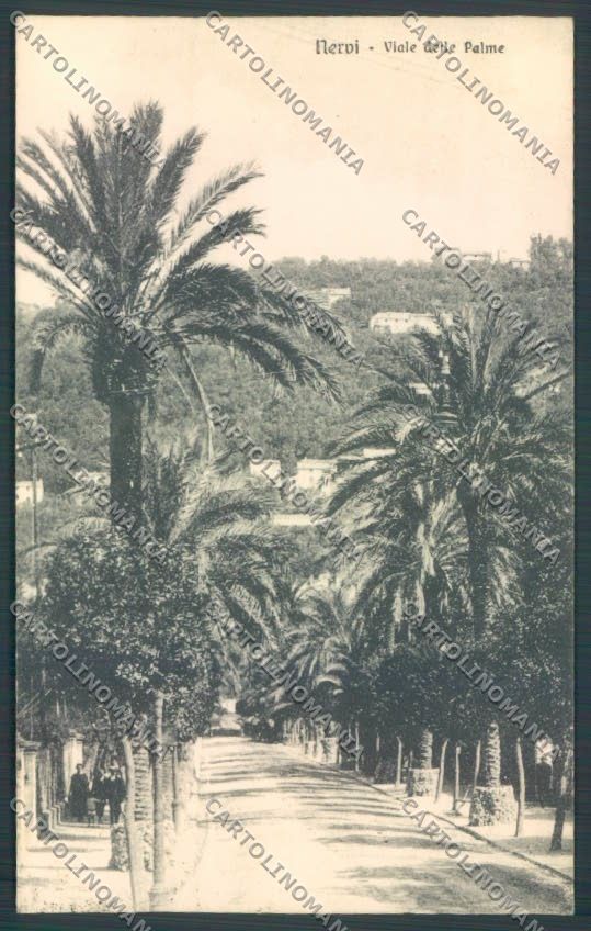 Genova Nervi cartolina ZT3973 – fronte