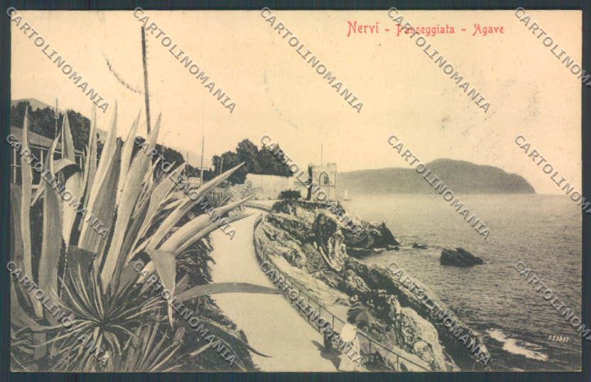 Genova Nervi PIEGA cartolina ZT4069 – fronte
