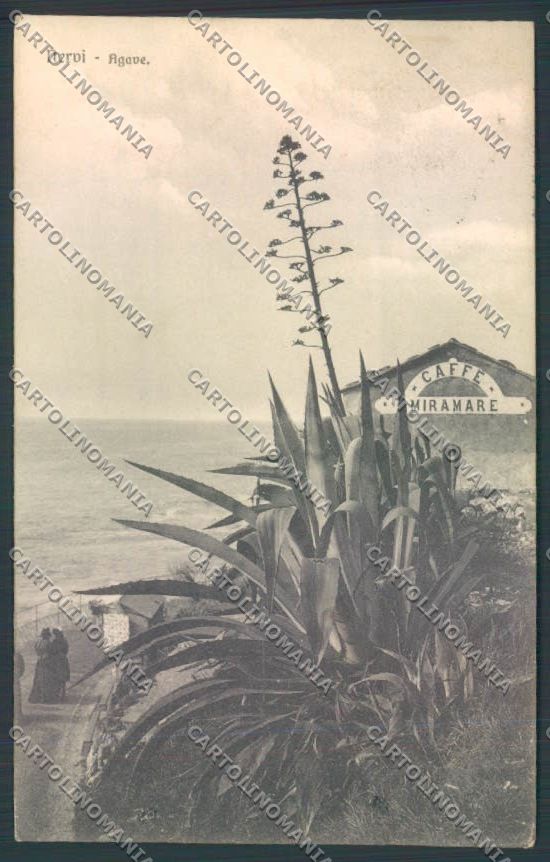 Genova Nervi cartolina ZT4070 – fronte