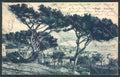 Genova Pegli cartolina ZT4140 – fronte