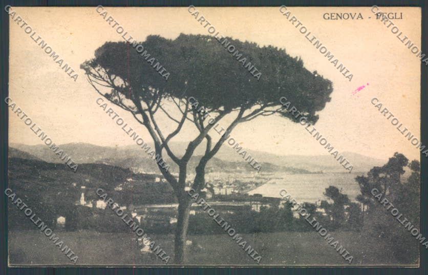 Genova Pegli cartolina ZT4167 – fronte